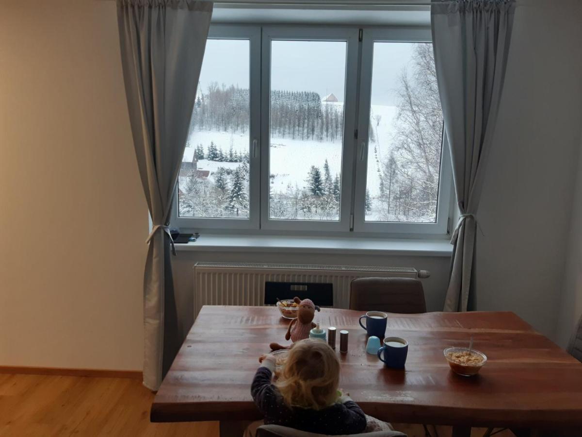 Apartmán u Kunštátského mlýna Orlicke Zahori Exterior foto