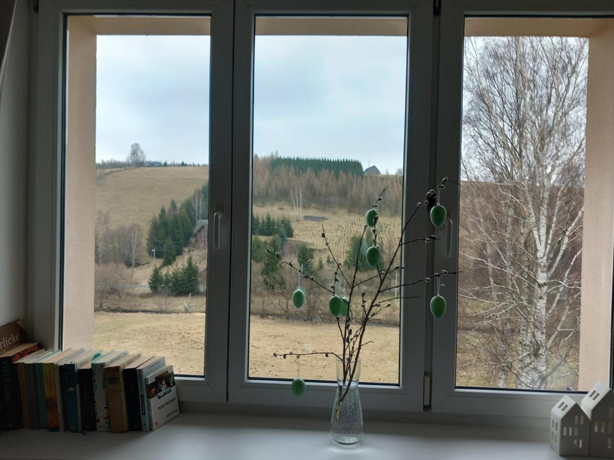 Apartmán u Kunštátského mlýna Orlicke Zahori Exterior foto